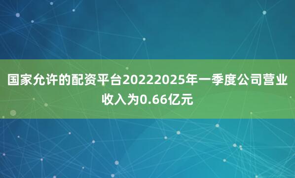 国家允许的配资平台20222025年一季度公司营业收入为0.66亿元