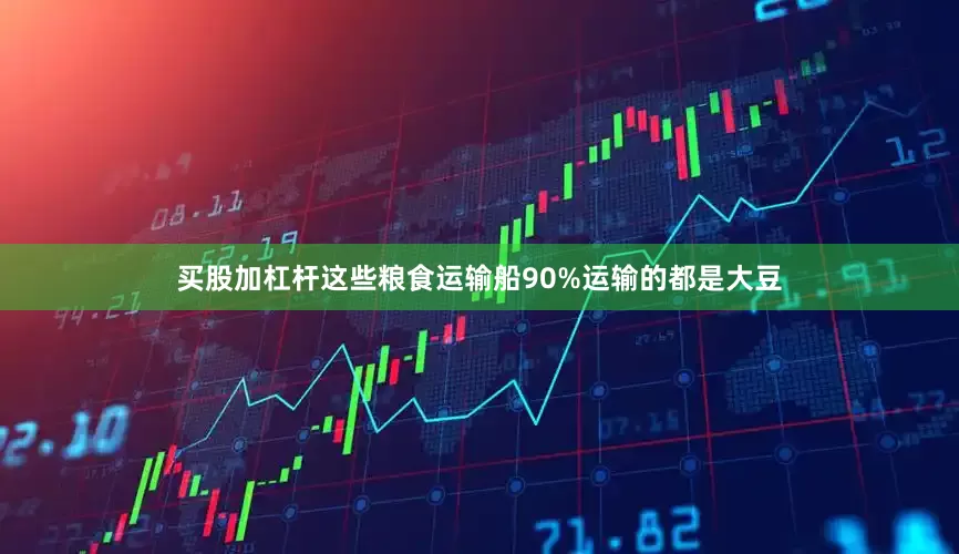 买股加杠杆这些粮食运输船90%运输的都是大豆